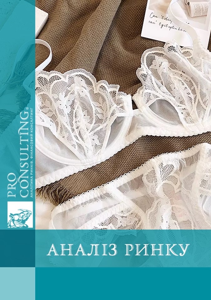 Аналіз ринку елітної спідньої жіночої білизни в Україні, Європі загалом та США. 2024 год